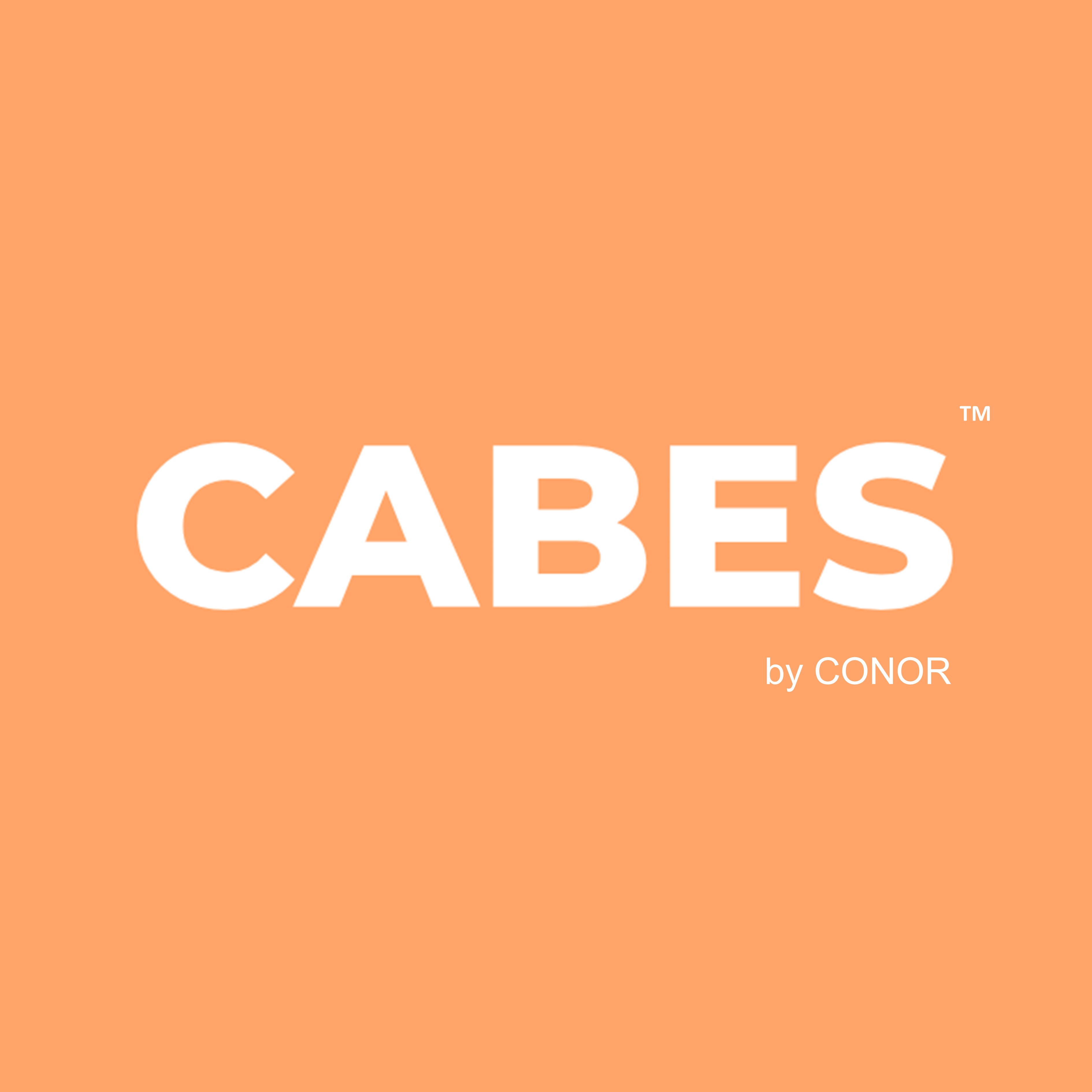 CABES by CONOR — Plataforma de cálculo de cabida inmobiliaria
